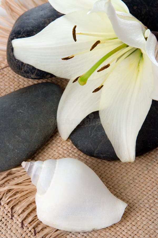 Madonna lily spa stones