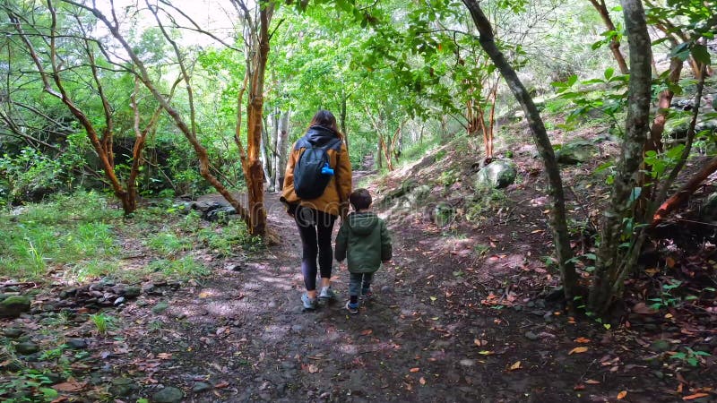 Madre con su hijo en el bosque laurisilva de los tilos de moya gran canaria