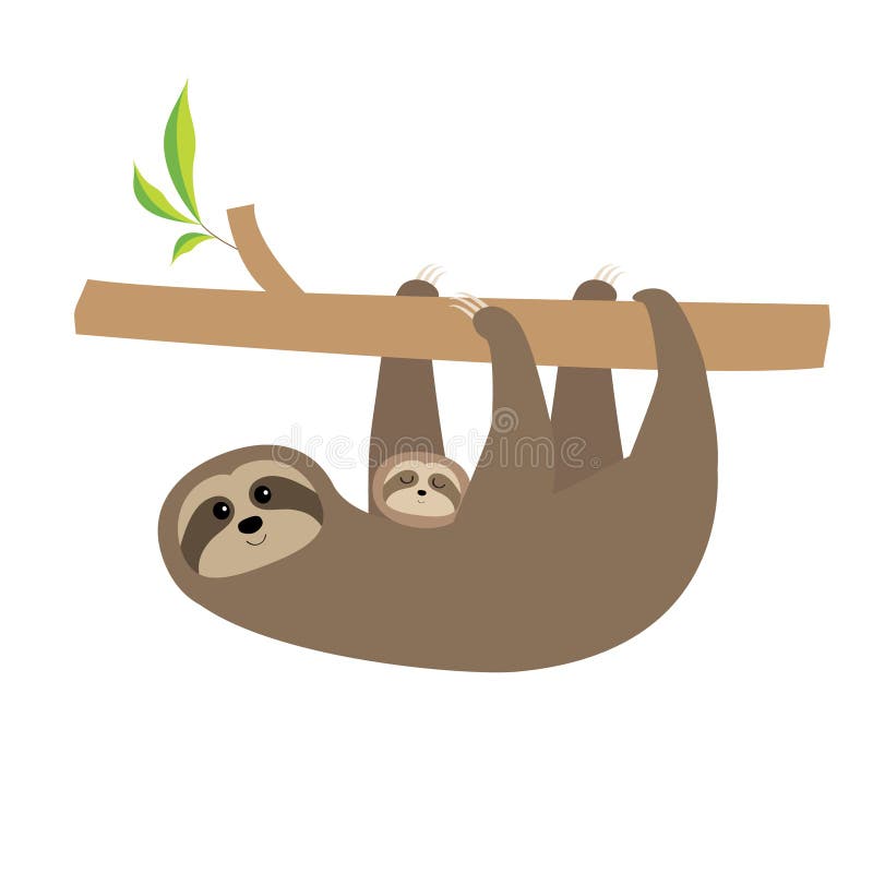 Madre De La Pereza Con El Bebe Personaje De Dibujos Animados Lindo Coleccion Salvaje Del Animal De La Selva De La Rama De Arbol Ilustracion Del Vector Ilustracion De Cubo Perezoso Madre De La Pereza Con El Bebe Personaje De Dibujos Animados Lindo Coleccion Salvaje Del Animal De La Selva De La Rama De Arbol Ilustracion Del Vector Ilustracion De Cubo Perezoso