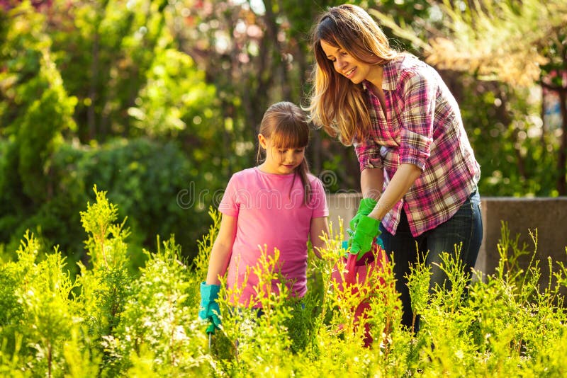 Madre e figlia che fanno il giardinaggio insieme fotografia stock Madre e figlia che fanno il giardinaggio insieme fotografia stock