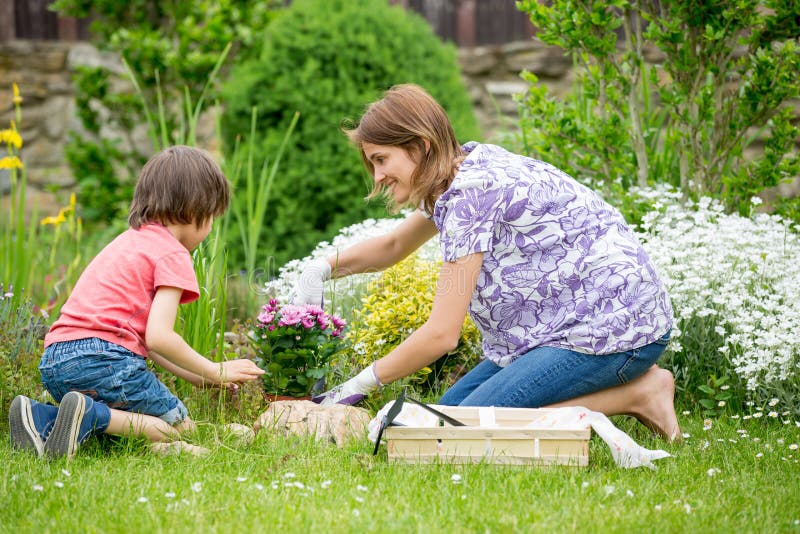 Madre e hijo que cultivan un huerto junto en su pequeño jardín imágenes de archivo libres de regalías Madre e hijo que cultivan un huerto junto en su pequeño jardín imágenes de archivo libres de regalías