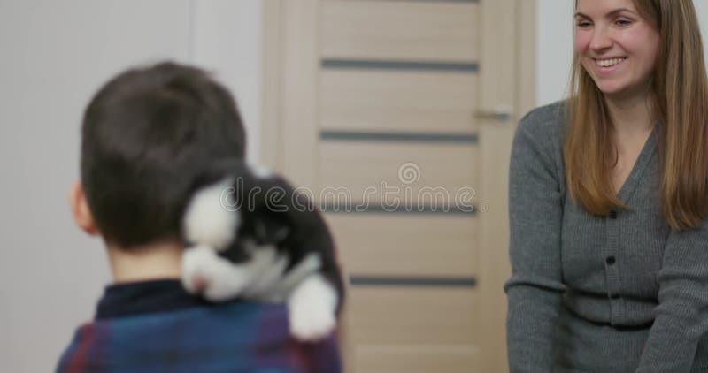 Madre entregando un cachorro husky negro y blanco al niño almacen de metraje de vídeo