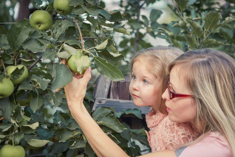 Madre felice e piccole mele di raccolto della figlia in giardino immagine stock libera da diritti Madre felice e piccole mele di raccolto della figlia in giardino immagine stock libera da diritti