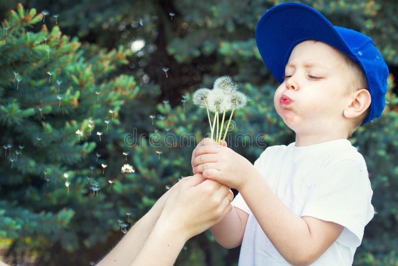 Madre y pequeño hijo que soplan en un diente de león foto de archivo libre de regalías Madre y pequeño hijo que soplan en un diente de león foto de archivo libre de regalías