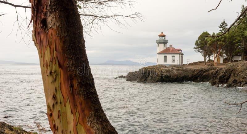 Madrona-Baum-Kalk-Brennofen-Leuchtturm San Juan Island Haro Strait stockfotografie Madrona-Baum-Kalk-Brennofen-Leuchtturm San Juan Island Haro Strait stockfotografie