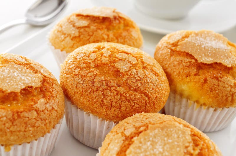 232 Spanish Muffins Stock Photos Free & RoyaltyFree Stock Photos from Dreamstime
