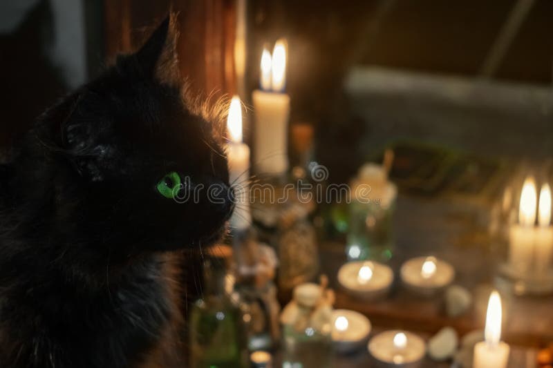 Magic Attributes. Black Cat and Burning Candles Near the Old Mirror