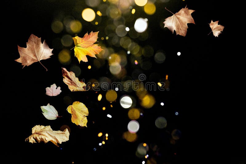 Magic Autumn with Leaves Flying in Bouquet Stock Image - Image of ...