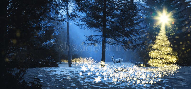 Magic christmas scene in the woods with a deer royalty free stock photos Magic christmas scene in the woods with a deer royalty free stock photos