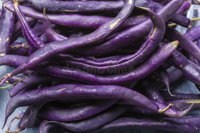 Magic colorful purple beans which turn Green after cooking, fresh healthy vegetables close up