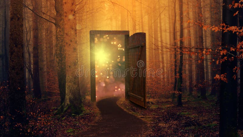 Autumn Forest Path Stock Illustrations 1 545 Autumn Forest Path Stock Illustrations Vectors Clipart Dreamstime