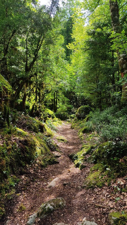 Escape the Everyday: Unlocking the Magic of State Parks