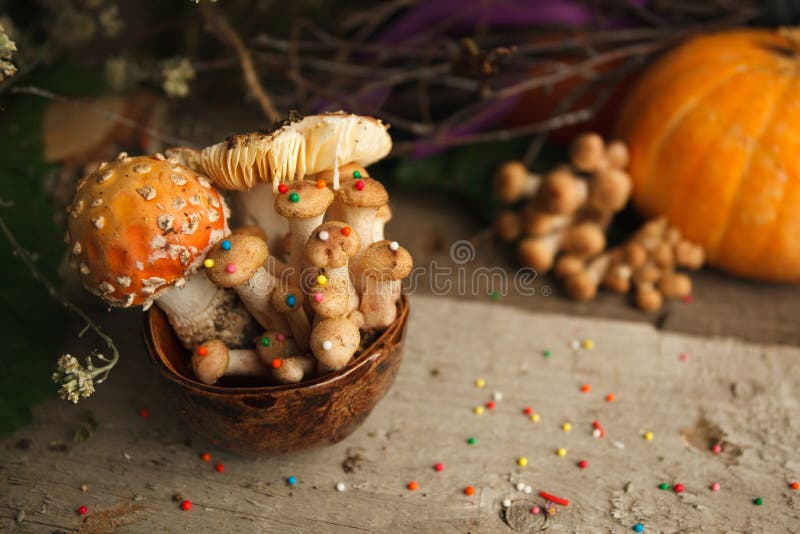 Magic fairytale party table decor, mushroom with confectionary in cup on wooden background, poison toxic food, halloween holiday.