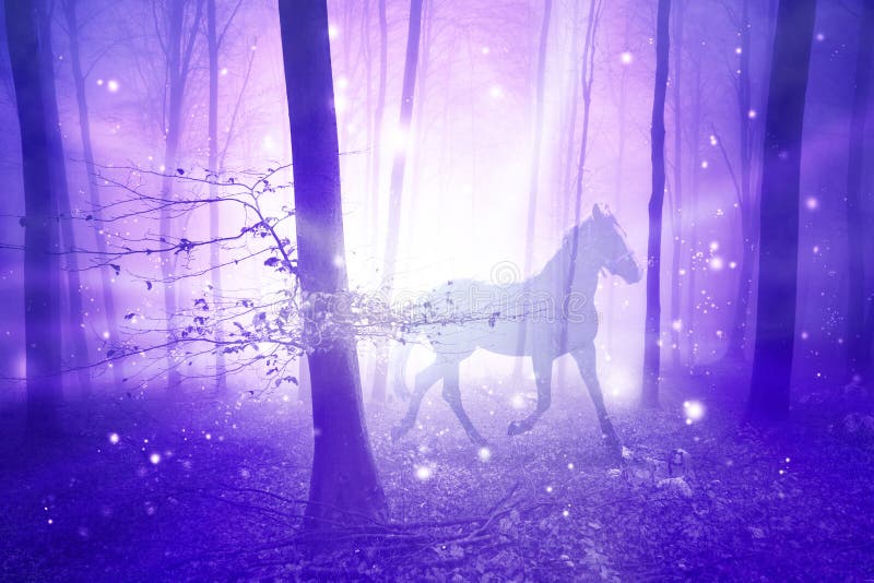 Magic purple foggy light in the forest with horse. Abstract unicorn in the fairy woodland. Double exposure technique used. Magic purple foggy light in the forest with horse. Abstract unicorn in the fairy woodland. Double exposure technique used.