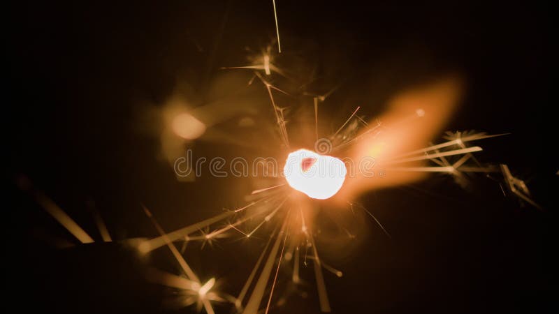 Fantasy magical dark background with magic rose flower reflection neon  light on edge ilustração do Stock