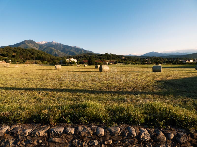Magic landscape - field, snowy mountain stock images Magic landscape - field, snowy mountain stock images