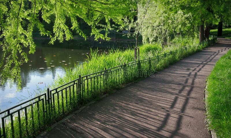 Summer landscape. Alley in the park. Magic place. Relaxation corner