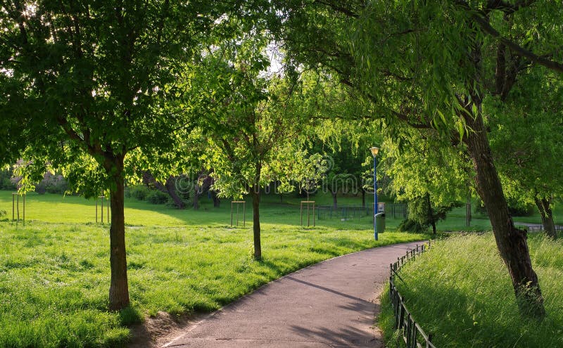 Summer landscape. Alley in the park. Magic place. Relaxation corner