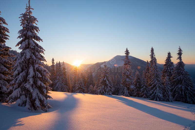 Magic sunrise in the winter mountains after snowfall