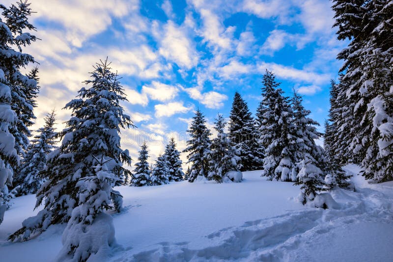 Magic Sunrise in the Winter Mountains after Snowfall Stock Image ...