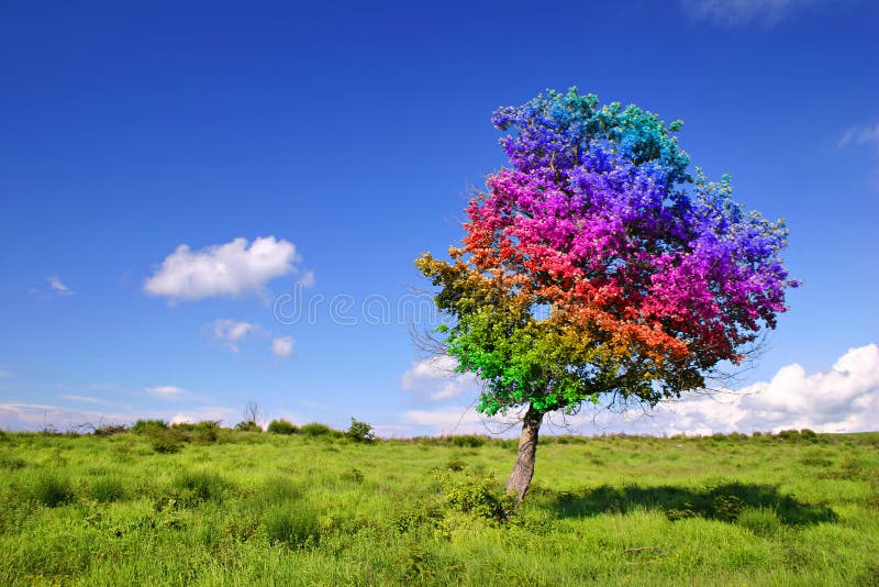 Magic Tree. On grass land Magic Tree. On grass land