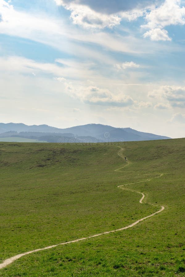 Čarovné stromy a cestičky v lese a na lúke.