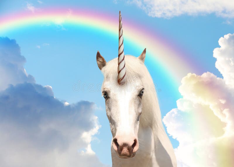 Magic unicorn in beautiful sky with rainbow and fluffy clouds. Fantasy world