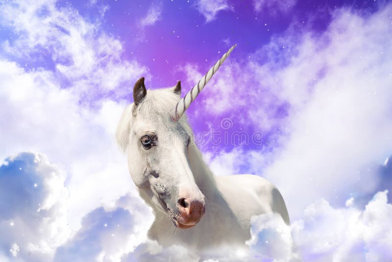 https://thumbs.dreamstime.com/b/magic-unicorn-fantastic-sky-fluffy-clouds-204337390.jpg