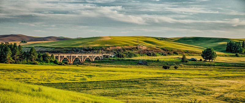 Magische Weizenfelder in Palouse, Washington stockfoto