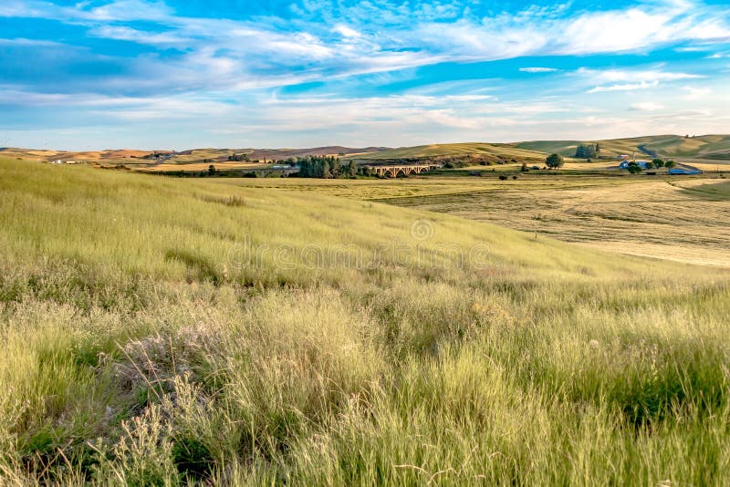 Magic Weizenbauernhoffelder im palouse Washington stockbild
