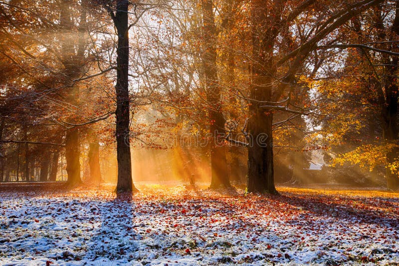 Magical autumn scenery with morning fog.