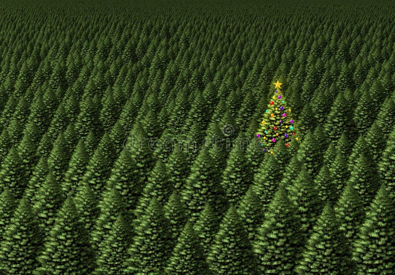magical christmas tree magical christmas tree