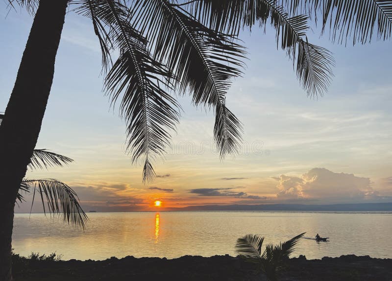 Magical landscape of a beautiful sunrise, sunset.Palm tree standing on a rocky coast.A man floating in a boat on the sea stock images Magical landscape of a beautiful sunrise, sunset.Palm tree standing on a rocky coast.A man floating in a boat on the sea stock images