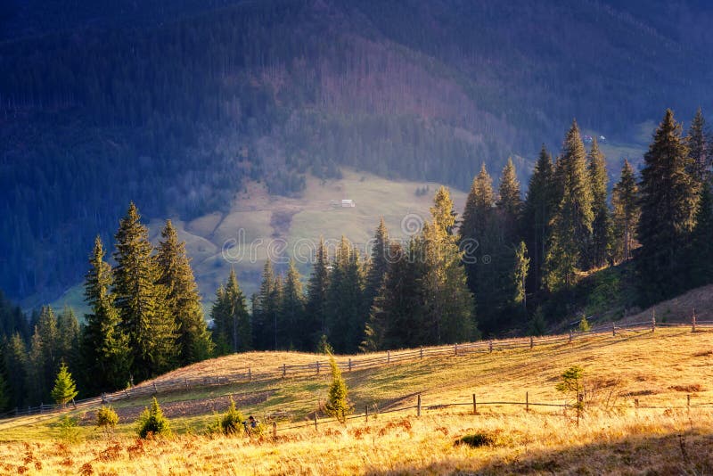 Magical Mountains Landscape Stock Photo Image Of Color Meadow 109999792