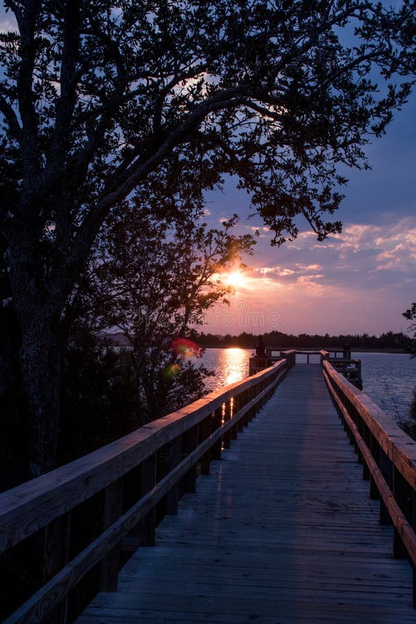 Magical River Light. As the sun dips low on the horizon, the light turns magical along the shore of the Cape Fear River royalty free stock photography Magical River Light. As the sun dips low on the horizon, the light turns magical along the shore of the Cape Fear River royalty free stock photography