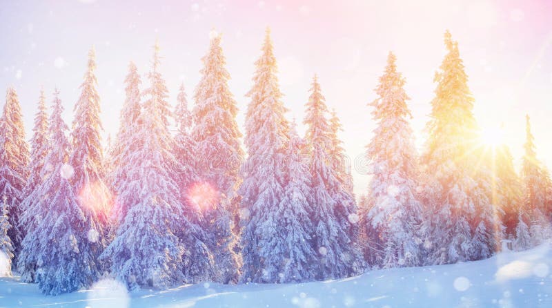 Magical winter landscape, background with some soft highlights a. Alpine, mountain.