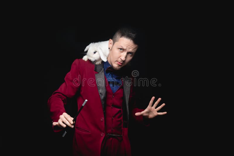 Magician man with magic wand and white rabbit on shoulder, black background royalty free stock photography Magician man with magic wand and white rabbit on shoulder, black background royalty free stock photography