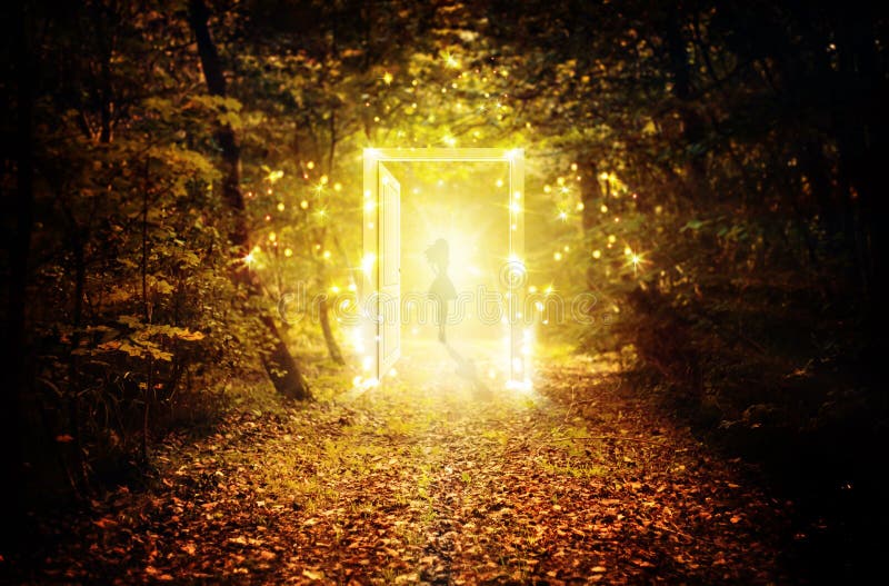 Magiczny rozjarzony drzwi w zaczarowanym lesie