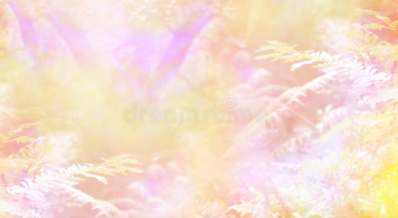 Dreamy golden peach and pink ethereal woodland background with soft focus trees in the background and ferns in the foreground. Dreamy golden peach and pink ethereal woodland background with soft focus trees in the background and ferns in the foreground