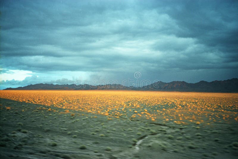 This Photo take on train.cloudy all day,but the sunset came quick at dusk,golden light made the tableland like a magical zone. This Photo take on train.cloudy all day,but the sunset came quick at dusk,golden light made the tableland like a magical zone.