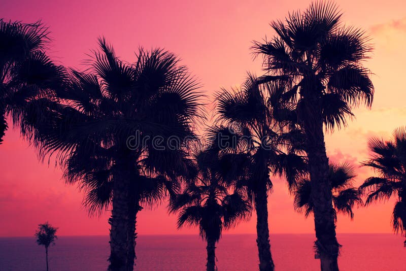 Magische roze zonsondergang over tropisch strand stock afbeelding Magische roze zonsondergang over tropisch strand stock afbeelding