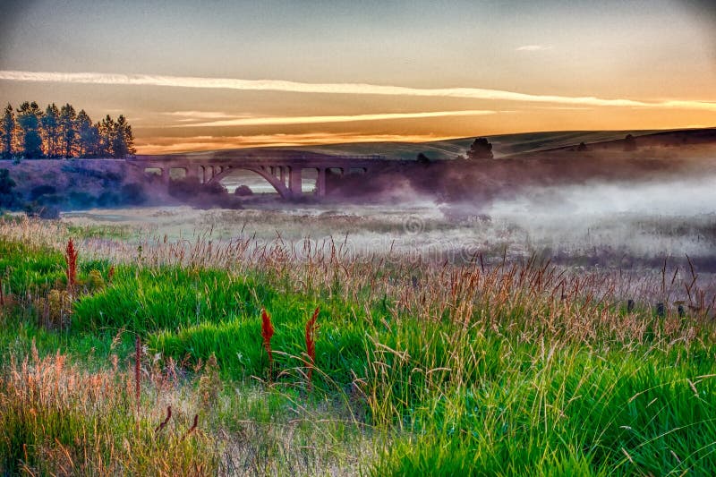 Magische Weizenfelder in Palouse, Washington stockbilder