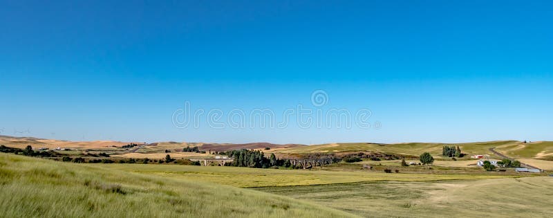 Magische Weizenfelder in Palouse, Washington stockfoto