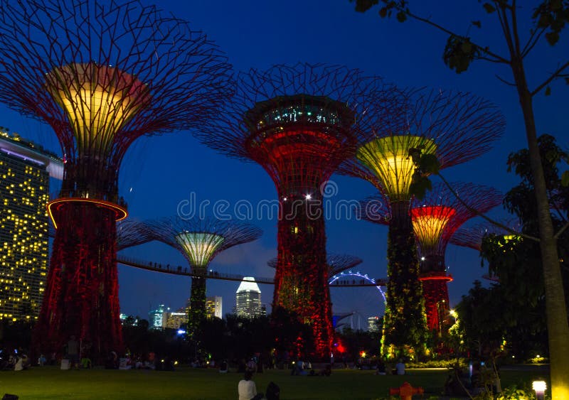 Magiska supertrees i härlig nattbelysning royaltyfria bilder Magiska supertrees i härlig nattbelysning royaltyfria bilder