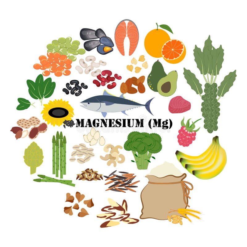 Magnesium Mg Mineral Healthy Organic Nutrition Vector Illustration