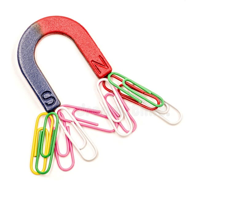 280 Chiodi A U Zincati Per Recinzioni - Graffette In Acciaio Per Reti Metalliche - Foto 5