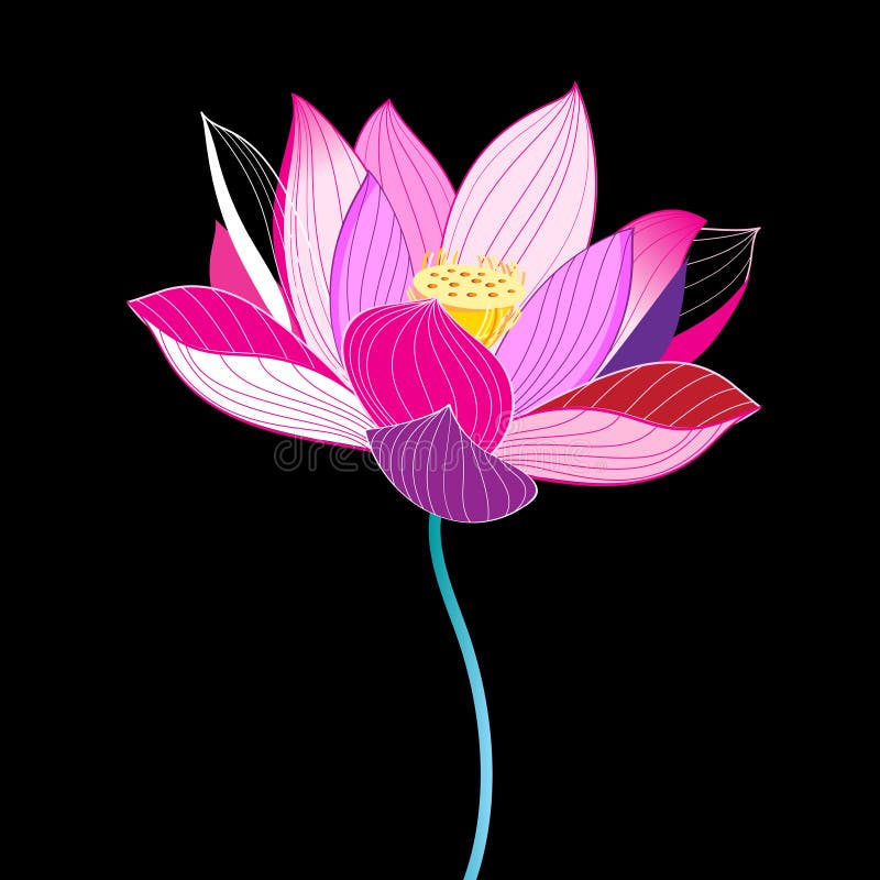 Magnificent illustration of a beautiful lotus