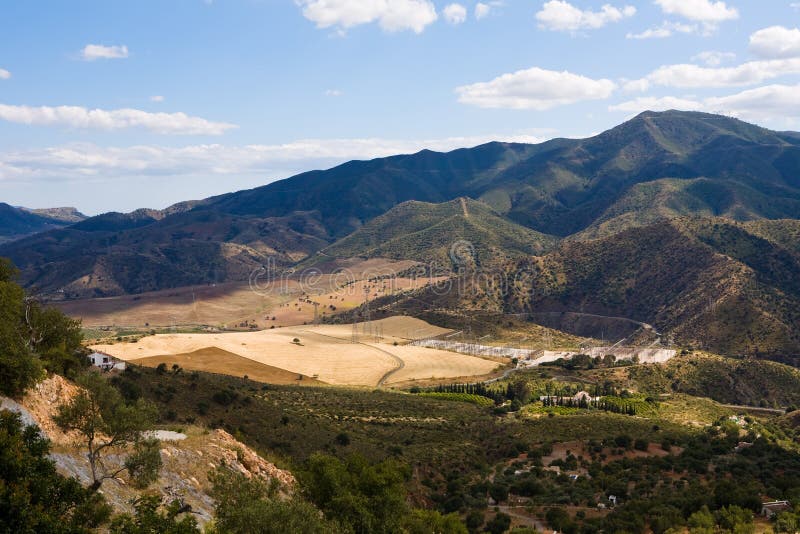 Magnificent panorama of surrounding olive groves royalty free stock images