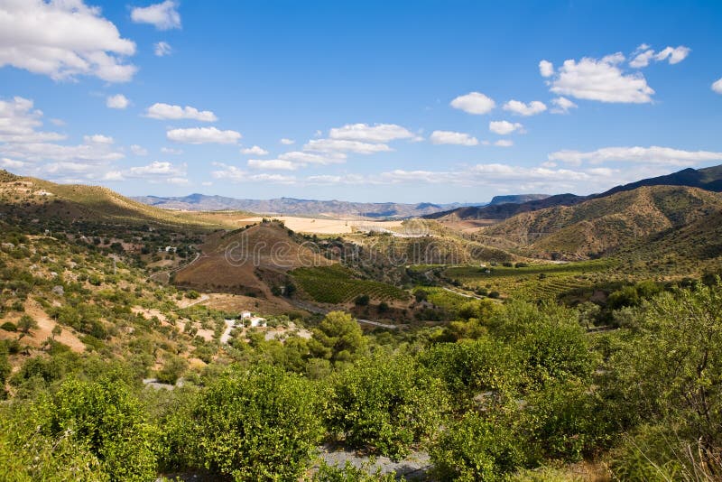 Magnificent panorama of surrounding olive groves