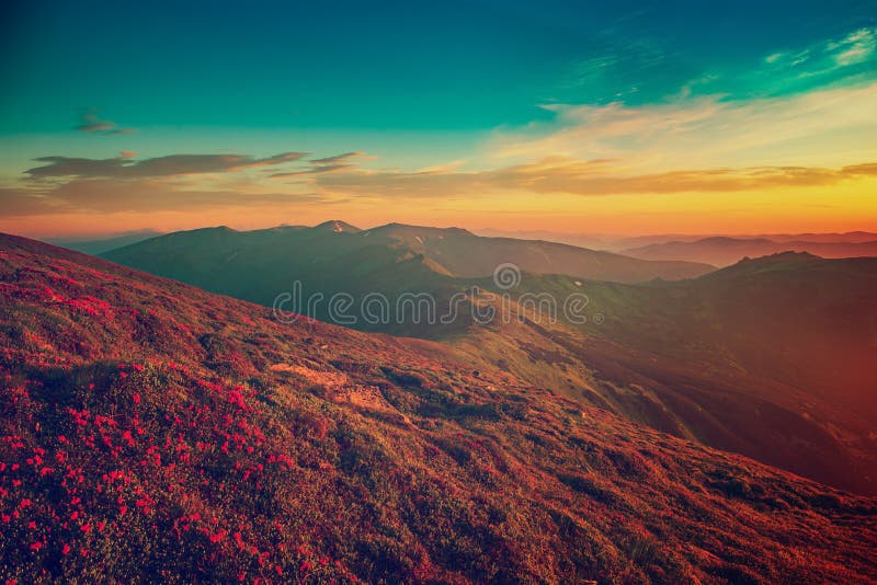 Amazing mountain landscape with colorful vivid sunrise on the blue sky, natural outdoor travel background. Beauty world. Panoramic view. Amazing mountain landscape with colorful vivid sunrise on the blue sky, natural outdoor travel background. Beauty world. Panoramic view.